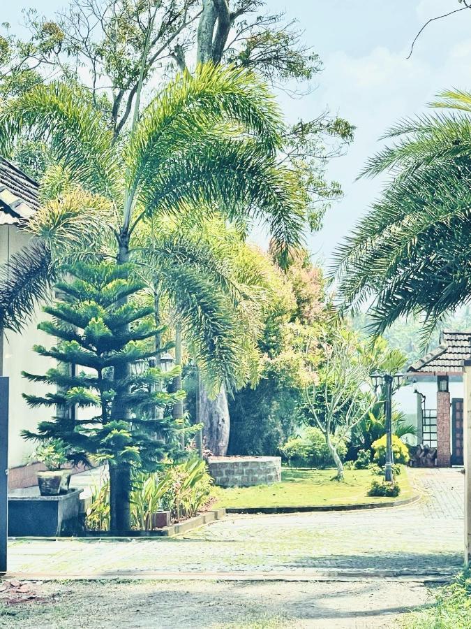 Cherai Lake Resort Cherai Beach Exterior foto
